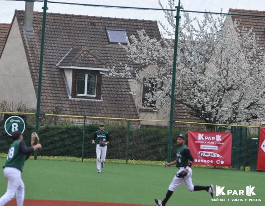 Les Cougars de Montigny